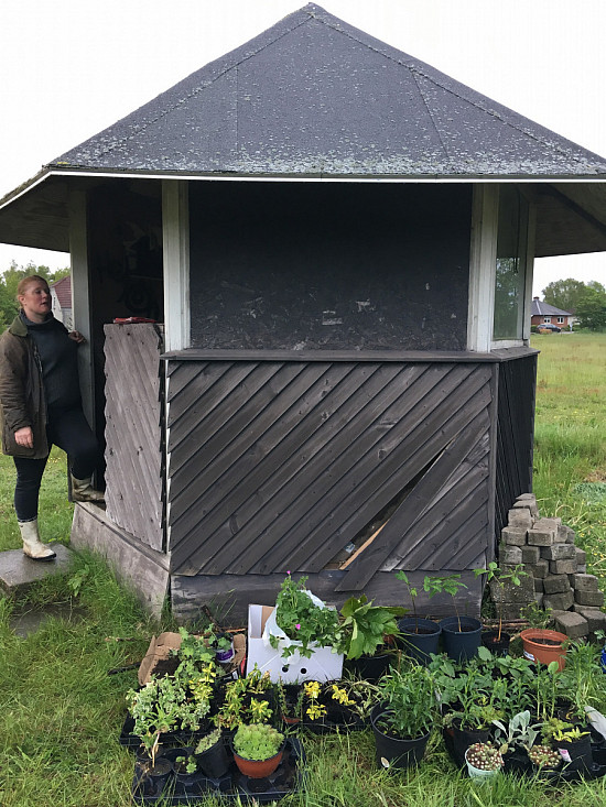 Plantebyttedag i Studsgård