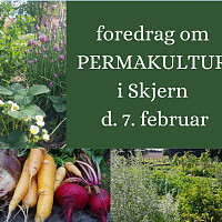 Foredrag om permakultur den 7. febr.