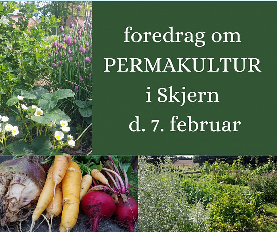 Foredrag om permakultur den 7. febr.