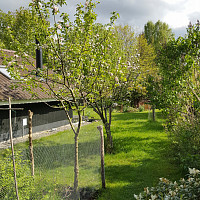 Sommerhushaven i Rågeleje